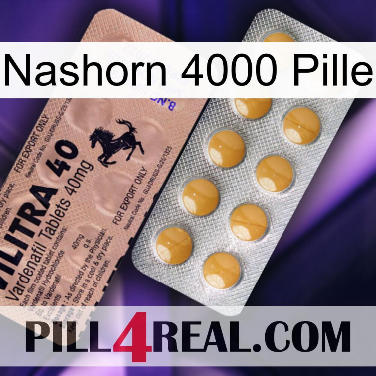 Rhino 4000 Pill 41